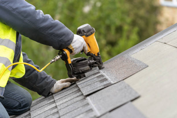 Best Gutter Installation and Repair  in Momence, IL