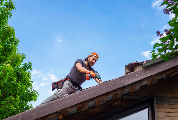 Best Cold Roofs  in Momence, IL